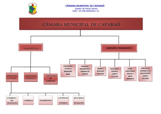 Estrutura Organizacional